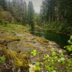 Lucia Falls, April 20 2025