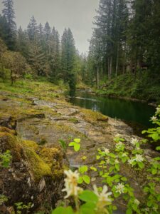 Lucia Falls, April 20 2025